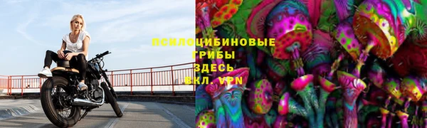 ПСИЛОЦИБИНОВЫЕ ГРИБЫ Армянск