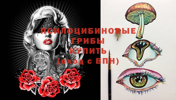 ПСИЛОЦИБИНОВЫЕ ГРИБЫ Армянск
